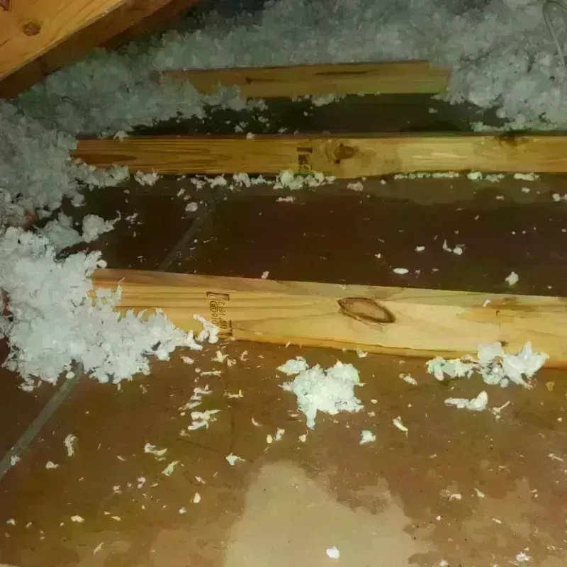 Attic Water Damage in Blackstone, VA