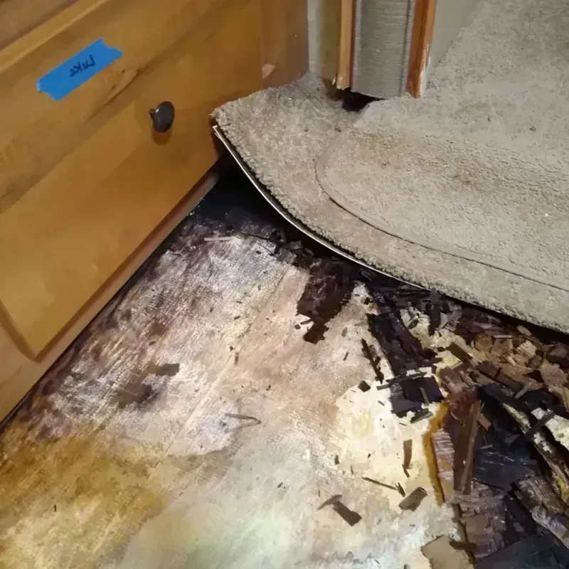 Wood Floor Water Damage in Blackstone, VA